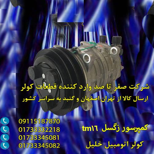 کمپرسور زگسل